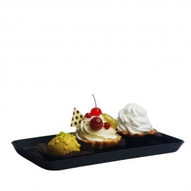 Ємність для викладки (280x140x20) Brillis з поліпропілену